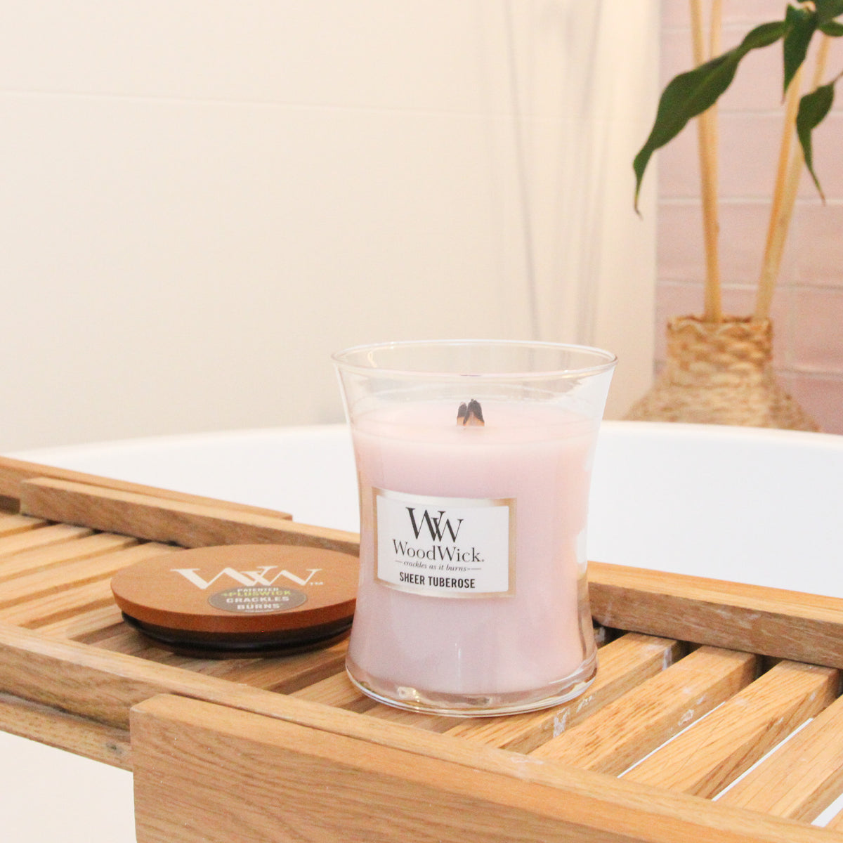 Medium WoodWick Sheer Tuberose Candle