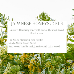 350g Candle - Japanese Honeysuckle